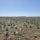 Illustration for article titled Amarillo, TX
